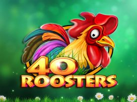 40 Roosters