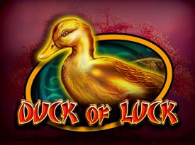 Duck Of Luck