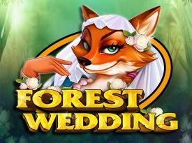 Forest Wedding