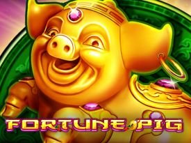 Fortune Pig