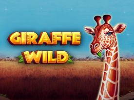 Giraffe Wild