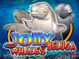 Jolly Beluga Whales