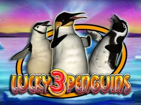 Lucky 3 Penguins