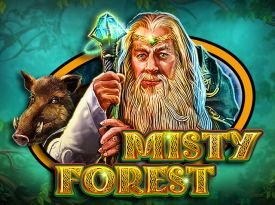 Misty Forest