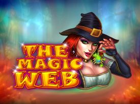 The Magic Web