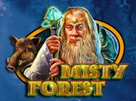 Misty Forest