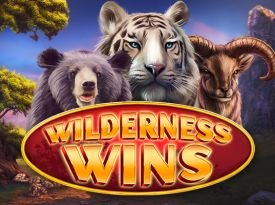 Wilderness Wins