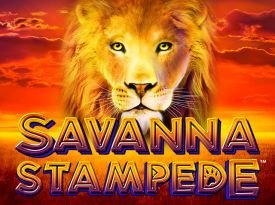 Savanna Stampede