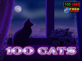 100 Cats