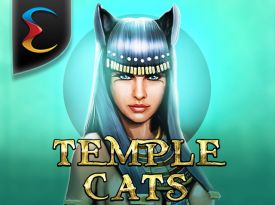 Temple Cats