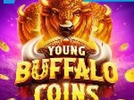 Young Buffalo Coins`