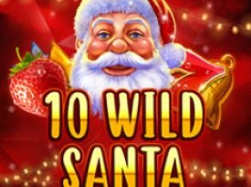 10 Wild Santa