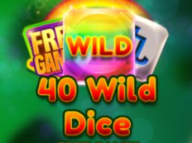 40 Wild Dice