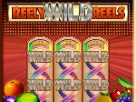 Reely Wild Reels