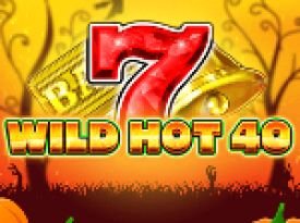 Wild Hot 40 Halloween