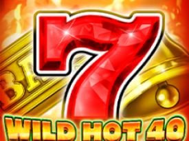 Wild Hot 40