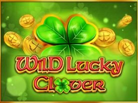 Wild Lucky Clover