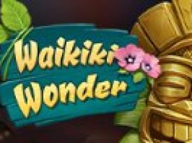 Waikiki Wonder