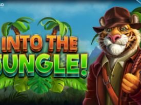 INTO THE JUNGLE