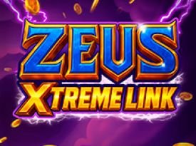 Zeus Xtreme Link
