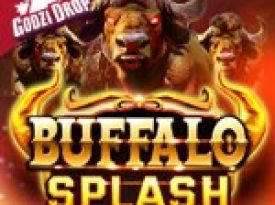 Buffalo Splash