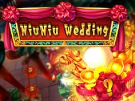 NiuNiu Wedding