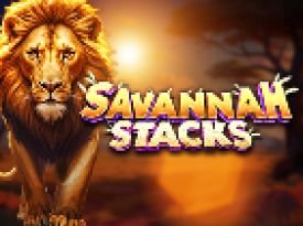 Savannah Stacks