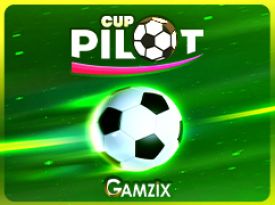 Pilot Cup