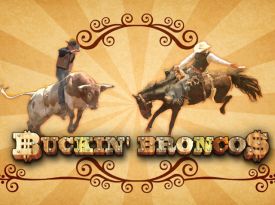 Buckin Broncos