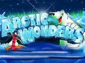 Arctic Wonders