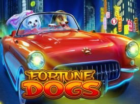 Fortune Dogs