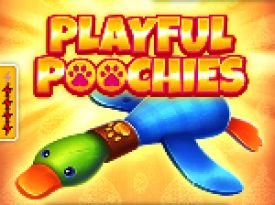 Playful Poochies