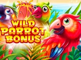 Wild Parrot Bonus (3x3)