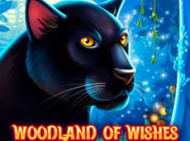 Woodland of Wishes