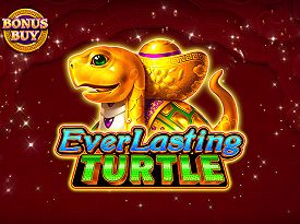 Everlasting Turtle (Bonus Buy)