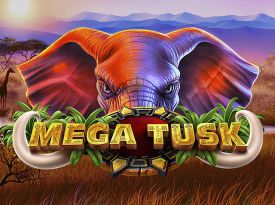 Mega Tusk