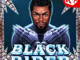 Black Rider