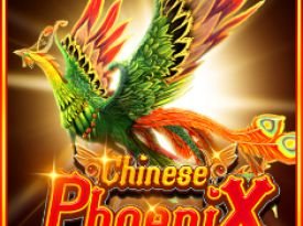 Chinese Phoenix