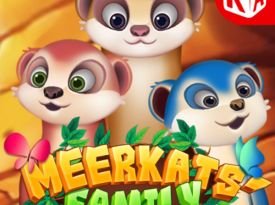 Meerkats' Family