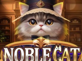 Noble Cat