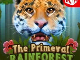 Primeval Rainforest