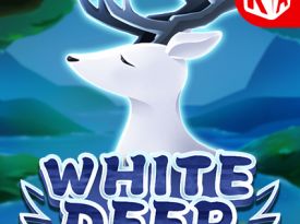 White Deer