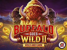 Buffalo Goes Wild II