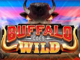 Buffalo Goes Wild