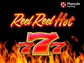 Reel Reel Hot