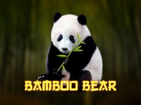 Bamboo Bear