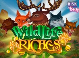 WildLife Riches