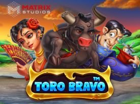 Toro Bravo Scratch