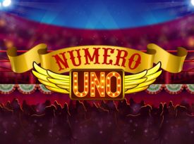 Numero Uno