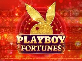 Playboy Fortunes ™